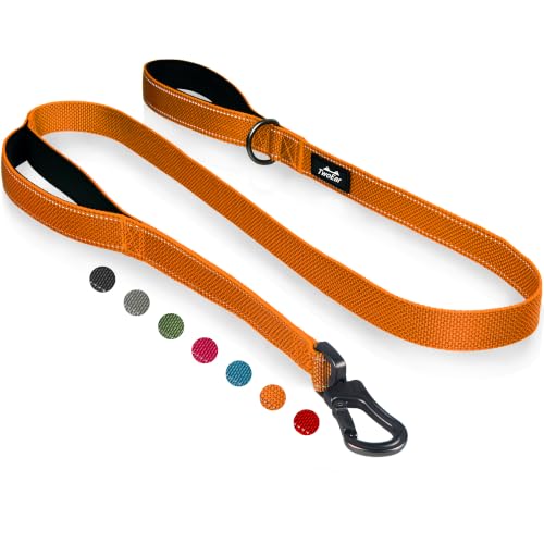 4FT 1IN Heavy Duty Dog Leash for Large Dogs with 2 Padded Handles (Orange / 1 in x 4 ft)