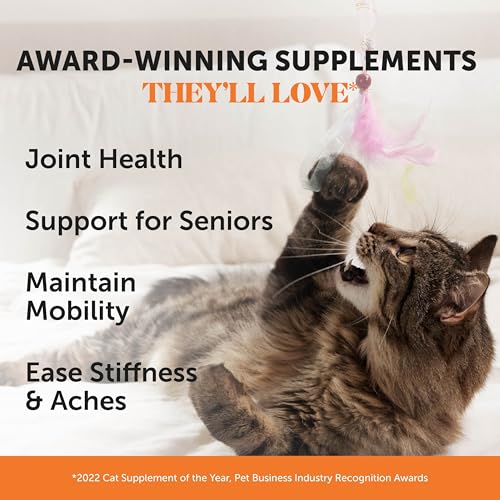 Vet Backed Senior Cat Joint Supplement (90-Day Supply)