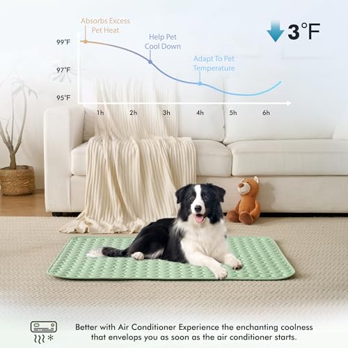 Summer Cooling Mat & Sleeping Pad (40" x 28" / Green)