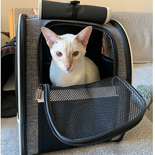 Innovative Traveler Bubble Backpack Pet Carriers for Cats and Dogs (Upgraded-Black)