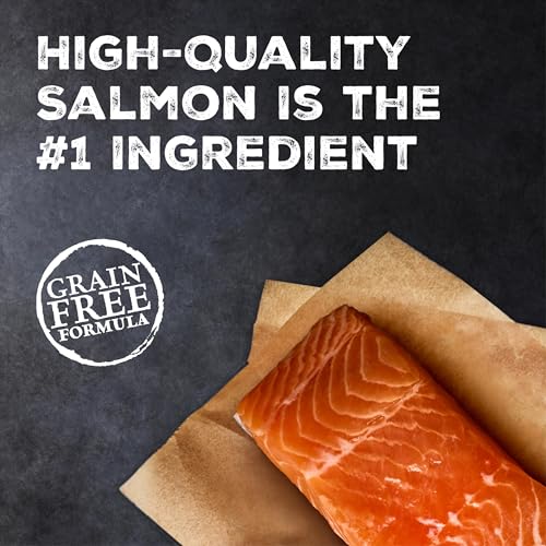 Wilderness Salmon Paté Adult Wet Cat Food