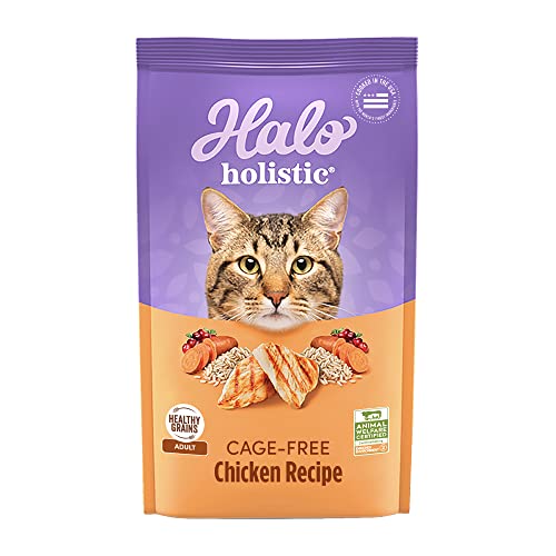 Holistic Dry Cat Food
