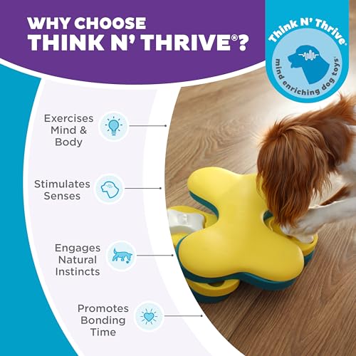 Nina Ottosson Dog Tornado Dog Toy Treat Puzzle