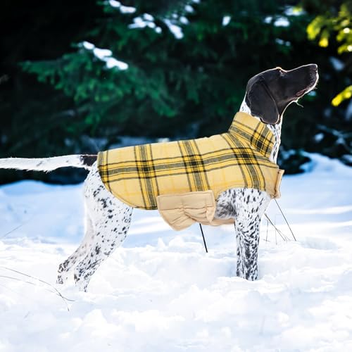 Waterproof Dog Coat (Yellow / 2X-Large (Pack of 1))