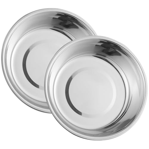 Stainless Steel Raised Cat Food Bowl for 2 Bowls