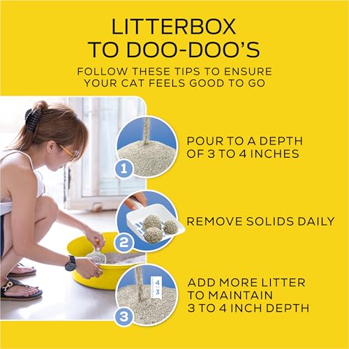 Lightweight Scented Cat Litter (12 Pound (Pack of 1))