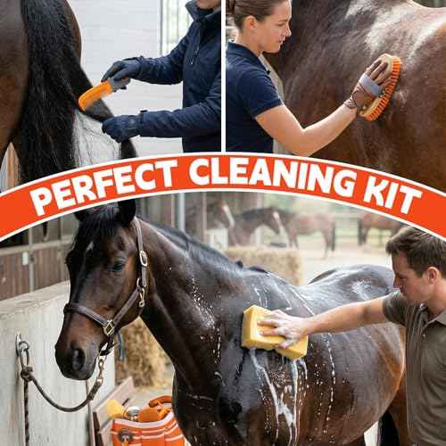 Horse Grooming Kit (Orange)