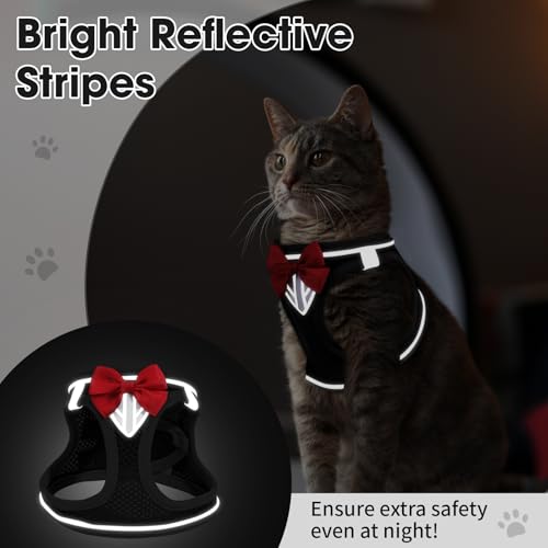 Cat Vest Harness and Leash Set (Black / S)
