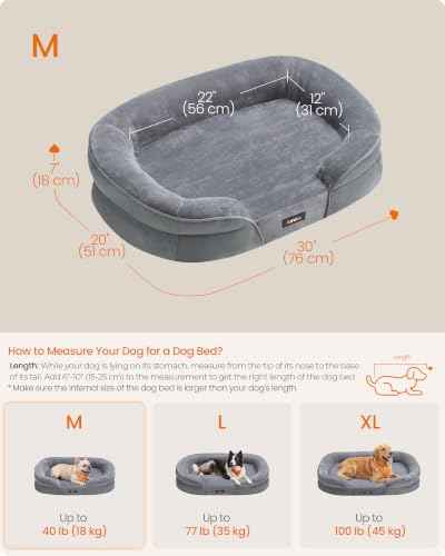 Orthopedic Dog Bed (M: 30"L x 20"W x 7"Th / Light Gray)