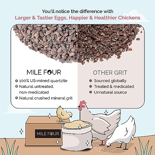 Chicken Grit Layer & Grower (4 Pounds (Pack of 1))