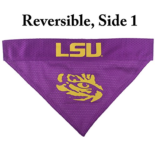 Collegiate Pet Accessories (Large/X-Large / LSU Tigers)