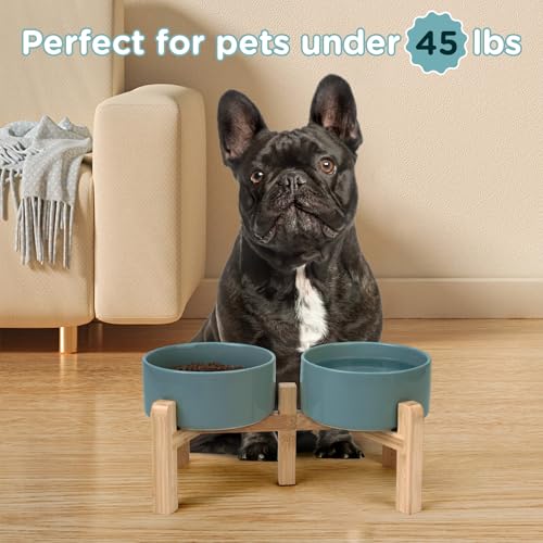 Elevated Dog Bowls Ceramic (6.1 in - 3.6 cups / Dark Green)