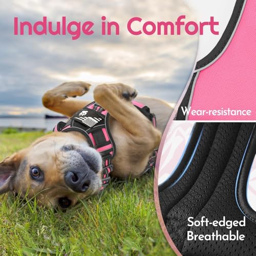 Dog Harness No Pull for Small Dogs (Small / Pink & Black)