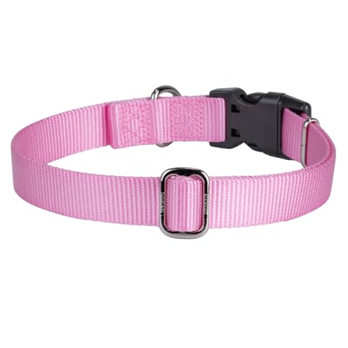 Pink Puppy Collar (Small / Bonbon Pink)
