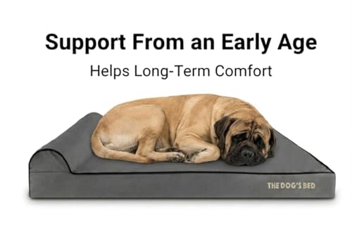 The Dog’s Bed Orthopedic Memory Foam Dog Bed with Headrest XXL 4 (Grey with Black Trim / XXL (54"L x 36"W x 4"Th))