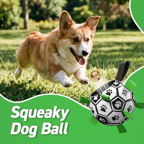 Dog Soccer Balls with Bell Inside (Squeaky Green / Medium Size 2 (6 Inch))