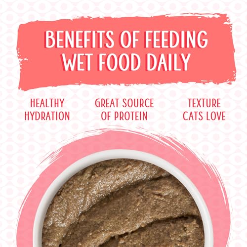 Wet Cat Food Jolly Good Fares with Chicken and Salmon Pate