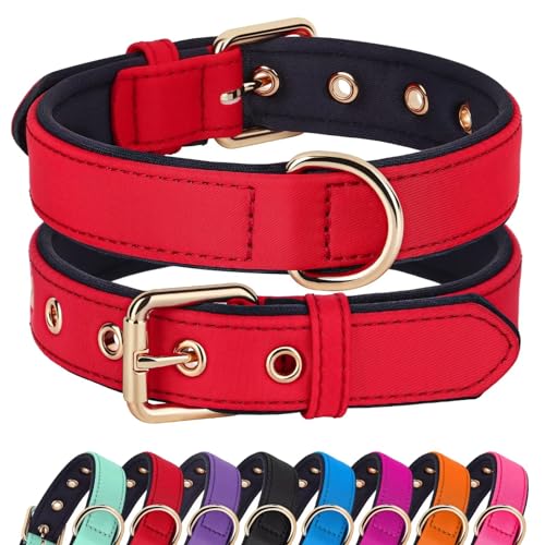 Soft Padded Dog Collars for Small Dogs (Red / S: Fit 9-12" Neck)