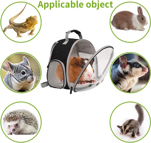 Guinea Pig Carrier (Blue)