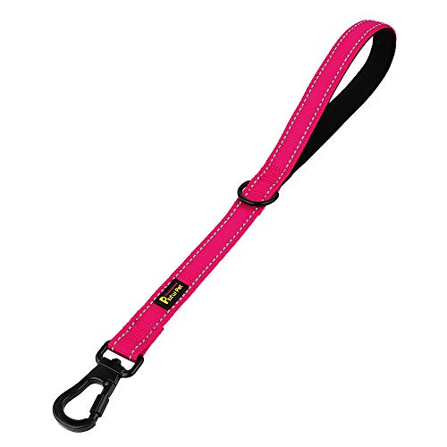 Short Training Dog Leash with Padded Handle for Medium Large Big Dogs (Pink / 18 Inch (Pack of 1))