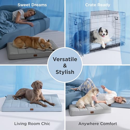 Cooling Dog Beds Large Sized Dog (36"L x 27"W x 3"Th / Cooling Blue)