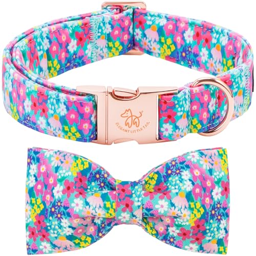 Spring Floral Dog Collar (Flower&Wild Berries / X-Large (Pack of 1))