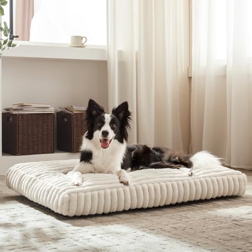Dog Beds for Small Dogs (Cream / S(23"x18"x3"))