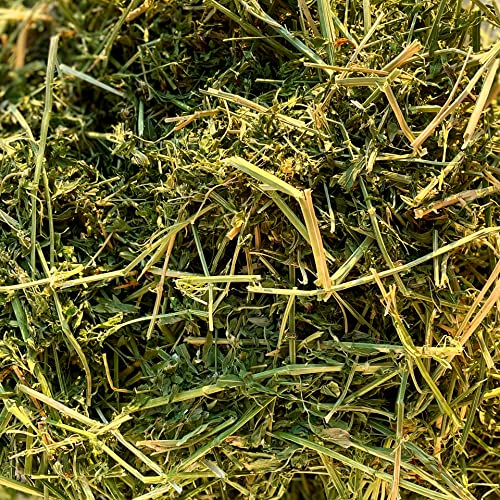 Organic Alfalfa Hay for Small Pets (5 Pound (Pack of 1))
