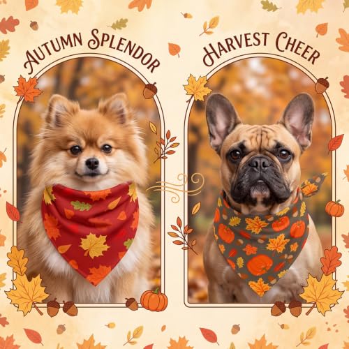 50 Pcs Fall Dog Bandanas Bulk (Fall Pumpkins / 19.7 x 13.8 x 13.8'')
