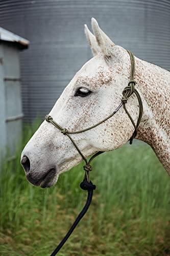 Horse Rope Training Halter (Pink / Yearling)