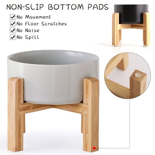 Grey Elevated (Grey / 7.6 Cups -Large)