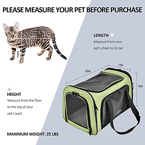 Large Cat Carriers Dog Carrier Pet Carrier for Large Cats Dogs Puppies up to 25Lbs (20.0"L x 13.0"W x 13.0"H / Green)