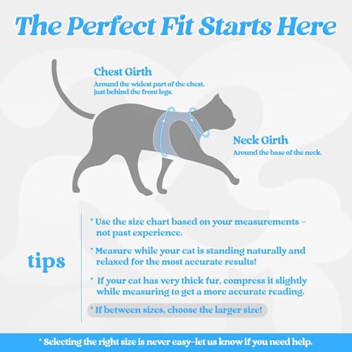 Cat Harness and Leash Set (XL / Light Blue)