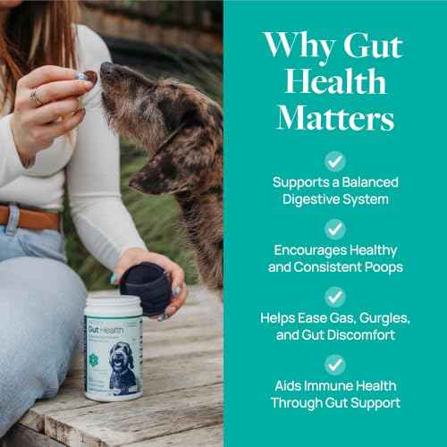 Smart Vitality Gut Health Soft Chews for Dogs (120 Count)