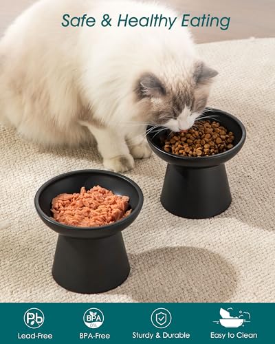 2 Pack Elevated Cat Food Bowls (Black)
