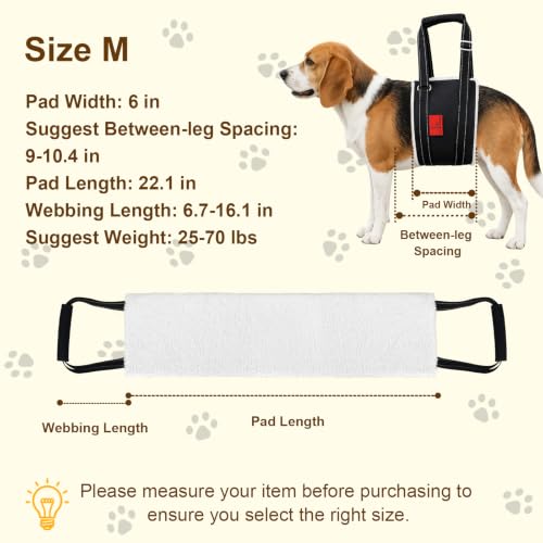 Dog Lift Harness (M)