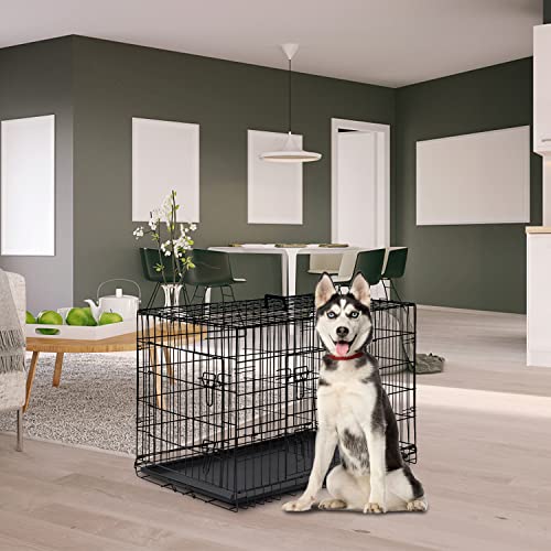 Dog Crate for Large Dogs 42 Inch Folding Metal WirePet Cage Double Door W (Black)