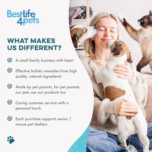 Dog Eye Infection & Eye Care Support Supplements