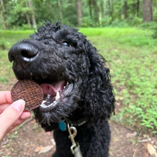 Dog Training Treats (12 Ounce (Pack of 1))