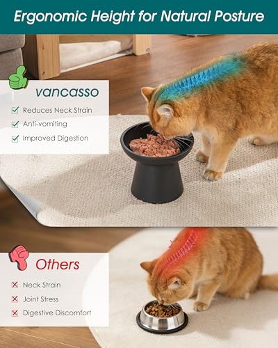 2 Pack Elevated Cat Food Bowls (Black)