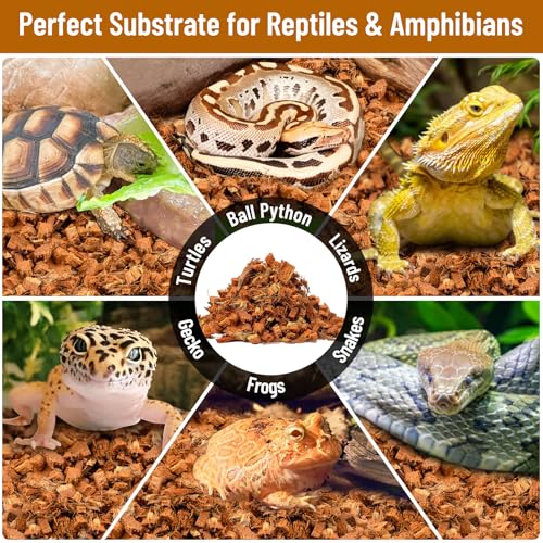 8Pack Coconut Husk Chip for Reptiles (8 pack)