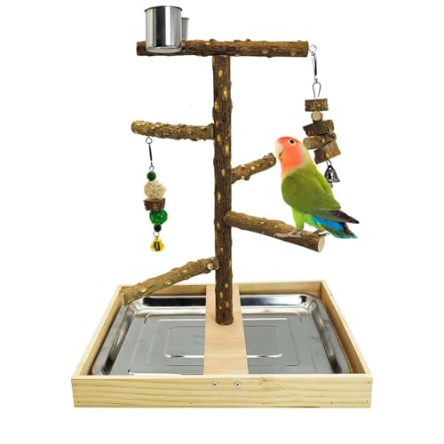 Bird Perch Natural Wood Stand Toy Parrot Play Stand Platform Bird Cage with Removable Tray and 2 Stainless Steel Cups for Parakeets Canaries Cockatiels Conure Lovebirds
