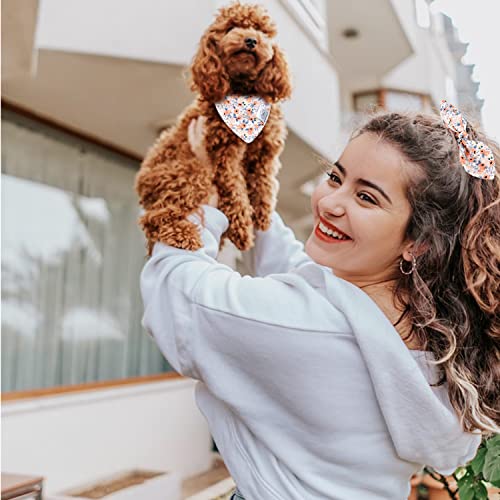 Floral Dog Bandanas Girl Matching Dog Bandana and Scrunchie Small (01-orange floral / Small-set of 1)