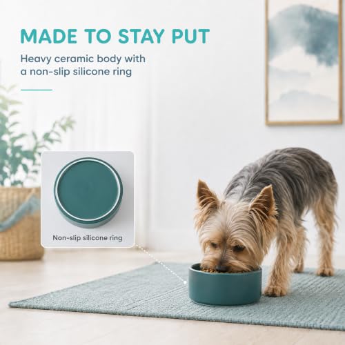 Ceramic Dog Bowls (Matte Dark Green)