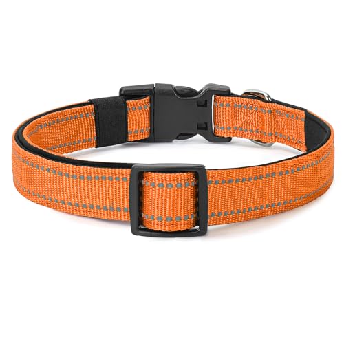 Reflective Dog Collar (Light Orange / S:width 5/8"neck 10.5-16")