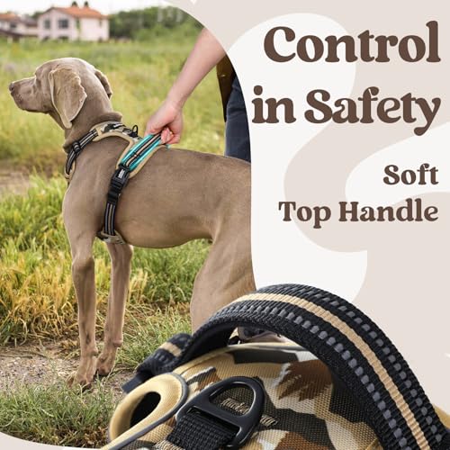 Dog Harness Medium Sized (Desert Ridge / Medium)