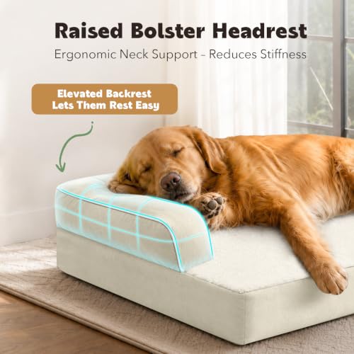 Orthopedic Washable Dog Bed with Bolster for Large Sized Dogs (38.0"L x 25.0"W x 6.5"Th / Beige)