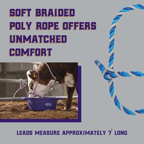 Braided Poly Rope Cattle Halter (Dark Blue/Turquoise/Gray / One Size)