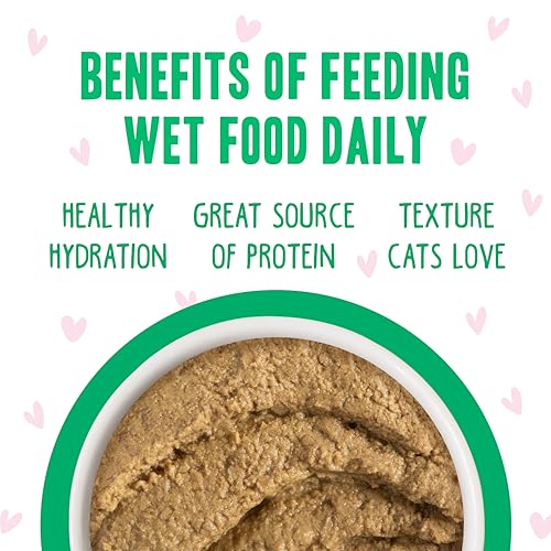 B.F.F. Play Best Feline Friend Paté Lovers (3 Ounce (Pack of 12))