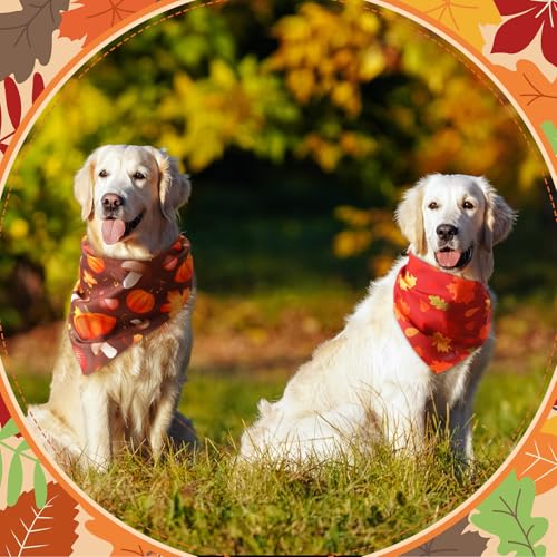 100 Pieces Thanksgiving Dog Bandanas Bulk Fall Autumn Pet Bandanas with Pumpkin Patterns Triangle Scarf Bib Kerchief Set for Small Large Dog Costume Accessories (Pumpkin / 31.5 x 21.7 x 21.7")
